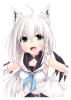 PNG 1072x1500 1209.1kb